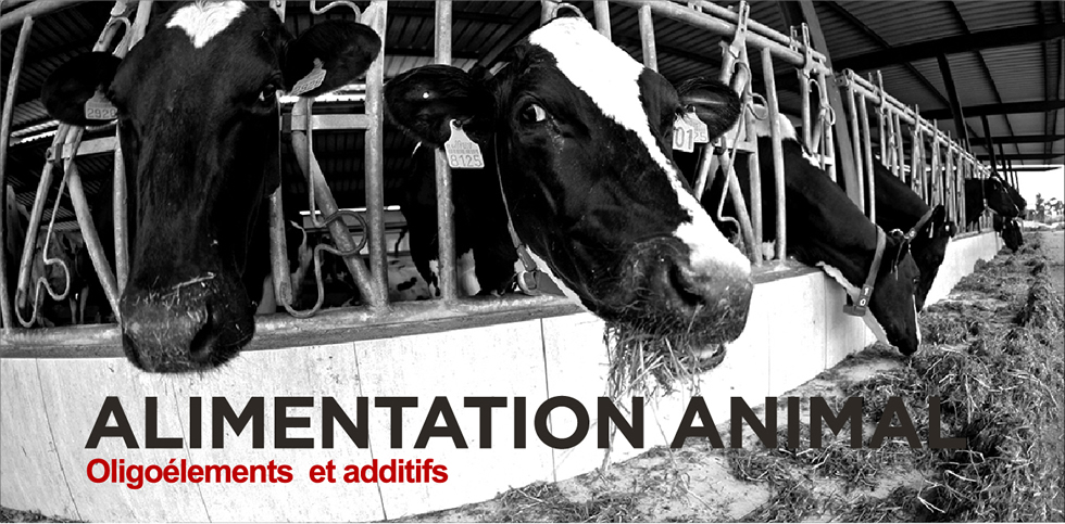 alimentation-des-animaux